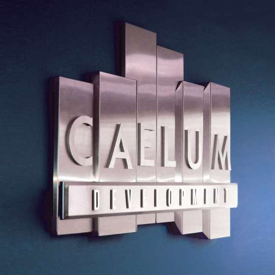 Projekt całościowej identyfikacji CAELUM DEVELOPMENT, 2005