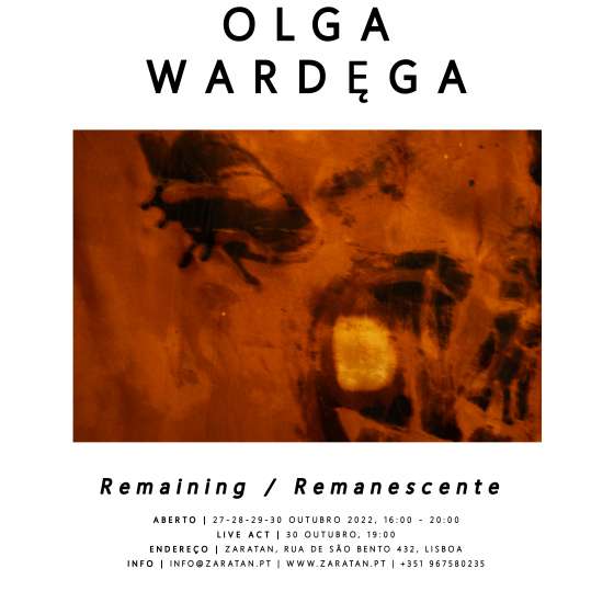 OLGA WARDĘGA Remaining / Remanescente