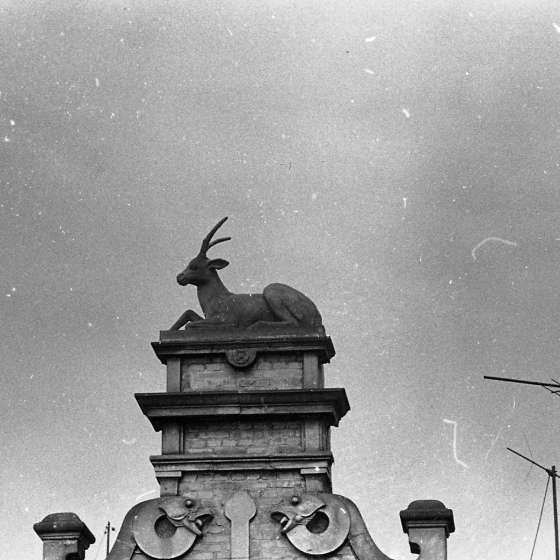 Leszek Weroczy rzeźby na kamieniczkach przy ulicy Długiej i Piwnej, 1959 [X/12/079]