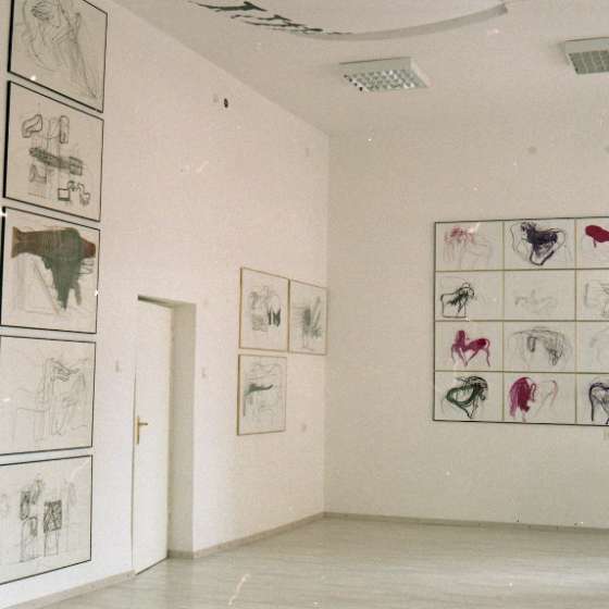 Wystawa prac Hugona Laseckiego w Galerii „Nowa Oficyna”,  1998, Archiwum Fotografii ASP