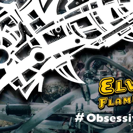 Elvin Flamingo #ObsessiveStates - 1