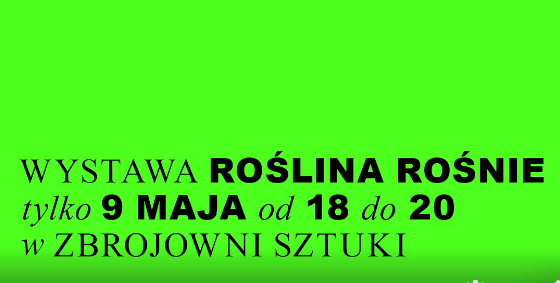 Wystawa ROŚLINA ROŚNIE  - 3