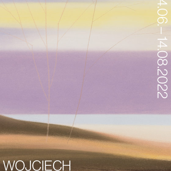 Wojciech Zaniewski, Pejzaże/ Landscapes - 1